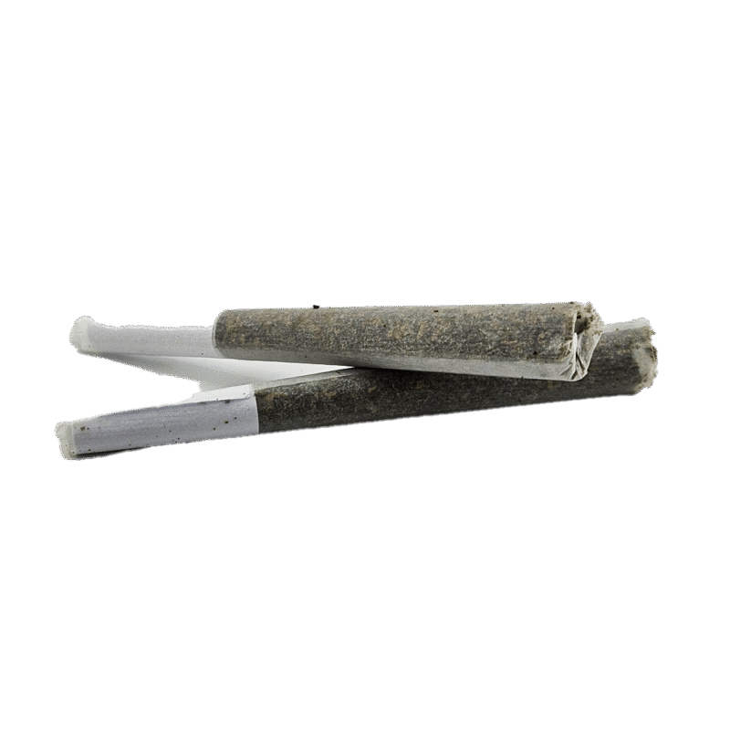 Speakeasy THCa Pre-Roll