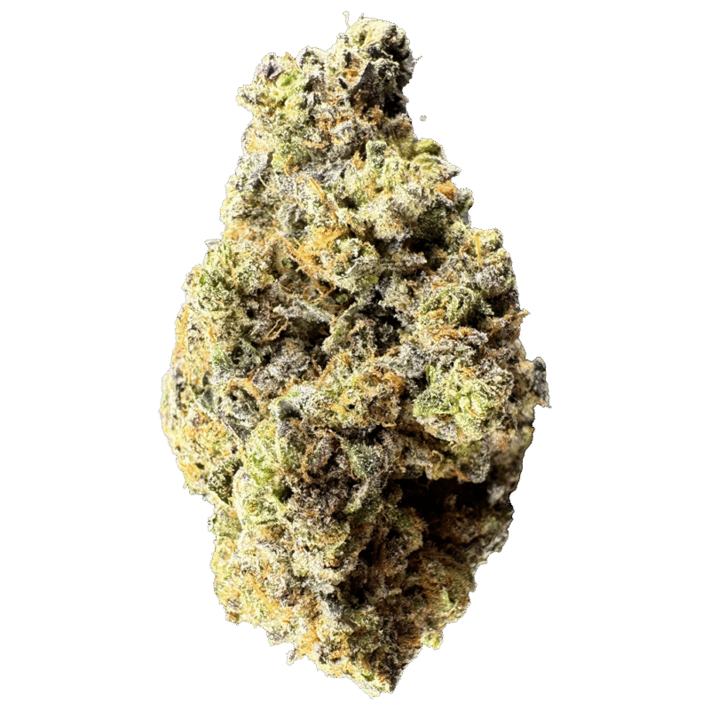 LIMITED RELEASE Caramel Apple Gelato