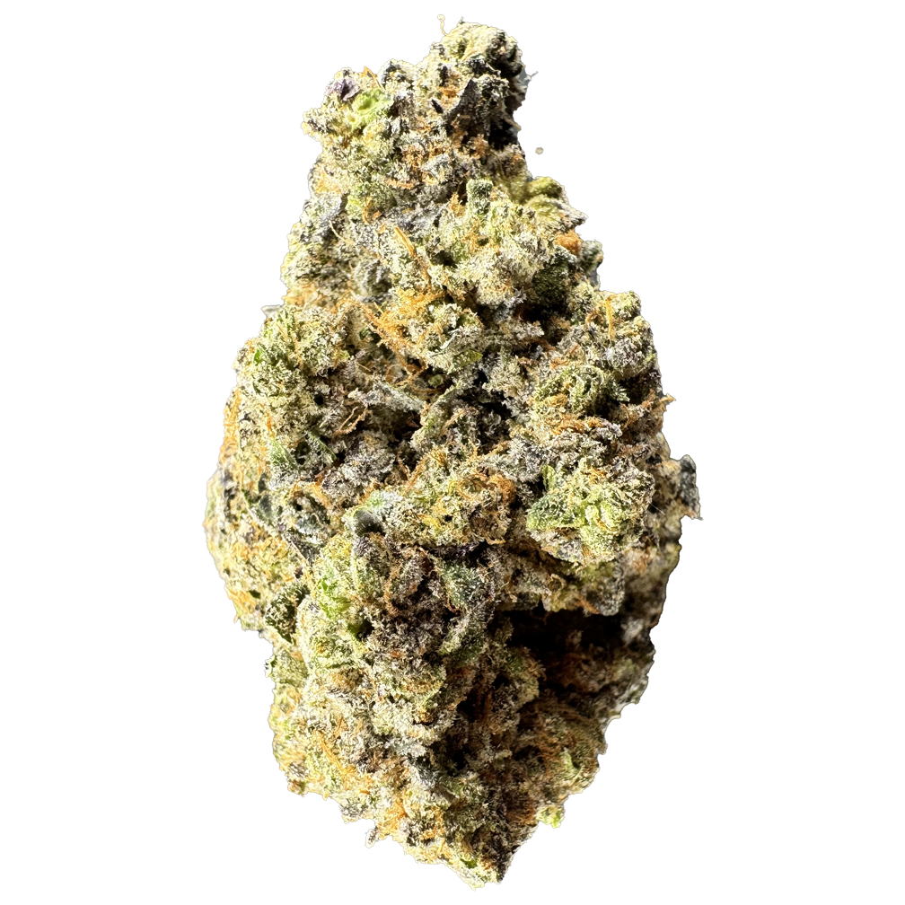 LIMITED RELEASE Caramel Apple Gelato